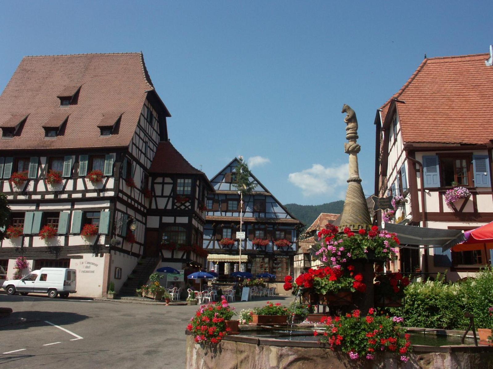 Chambres D'Hotes Ruhlmann Dambach-la-Ville Exterior photo